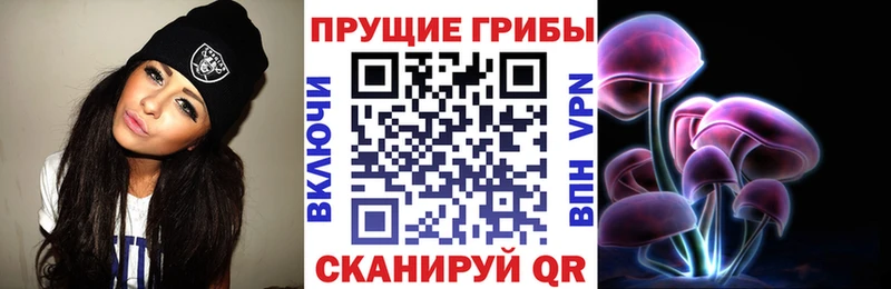 ссылка на мегу зеркало  где купить наркоту  Ардон  Галлюциногенные грибы MAGIC MUSHROOMS 